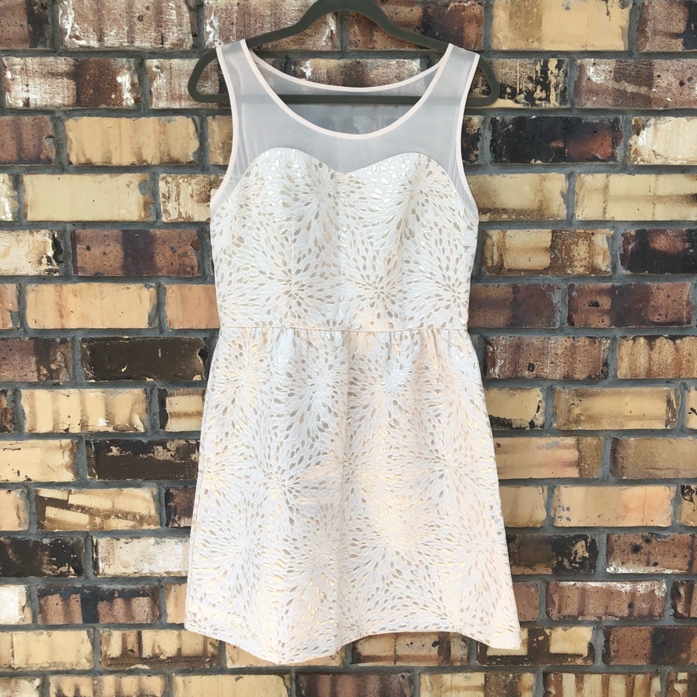 Metallic Gold and Cream Fit & Flare Dress